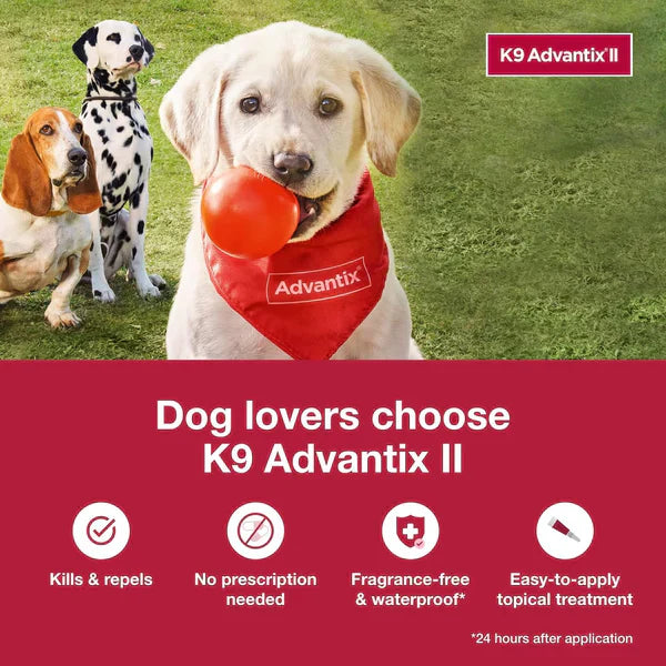 K9 Advantix II Flea Tick & Mosquito Treatment for XL Dogs Over 55 lbs 6 Monthly Supply
