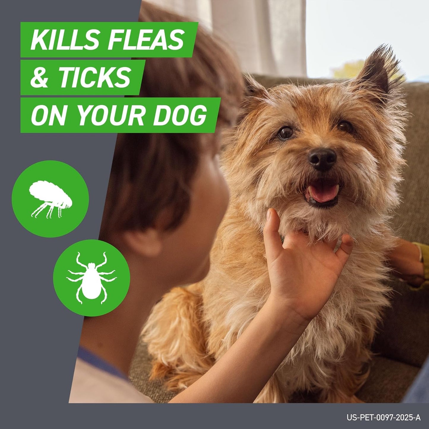 FRONTLINE Plus Flea & Tick Treatment for Small Dogs (5–22 lbs) – 6 Doses
