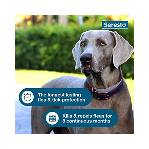 Seresto (2 Pack) Flea & Tick Collar for Large Dogs Over 18 lbs 8-Month Protection Vet-Recommended