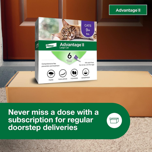 Advantage II Large Cat Flea Treatment & Prevention – Vet Recommended | For Cats Over 9 lbs | 6-Month Supply