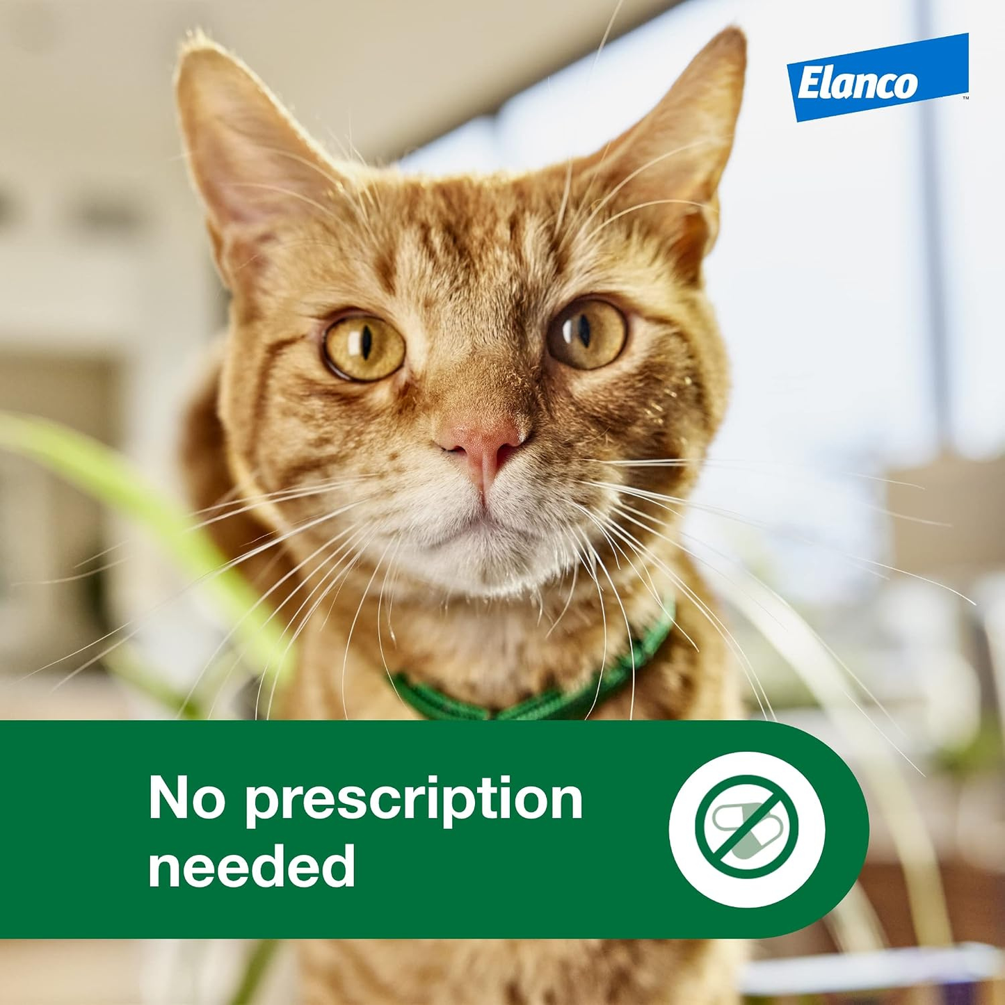Advantage XD Large Cat Flea Treatment Over 9 lbs. 4 Doses 8-Month Supply