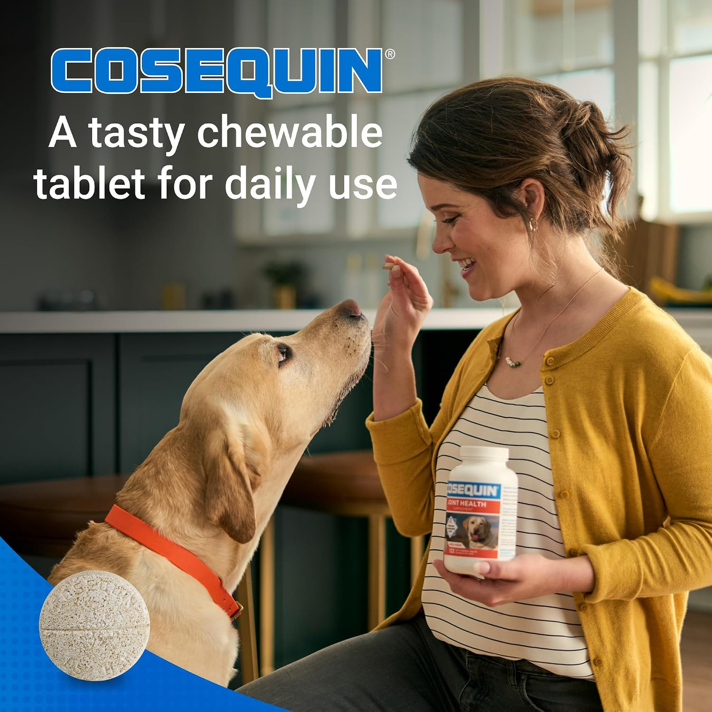 Nutramax Cosequin Joint Health Supplement for Dogs 250Count