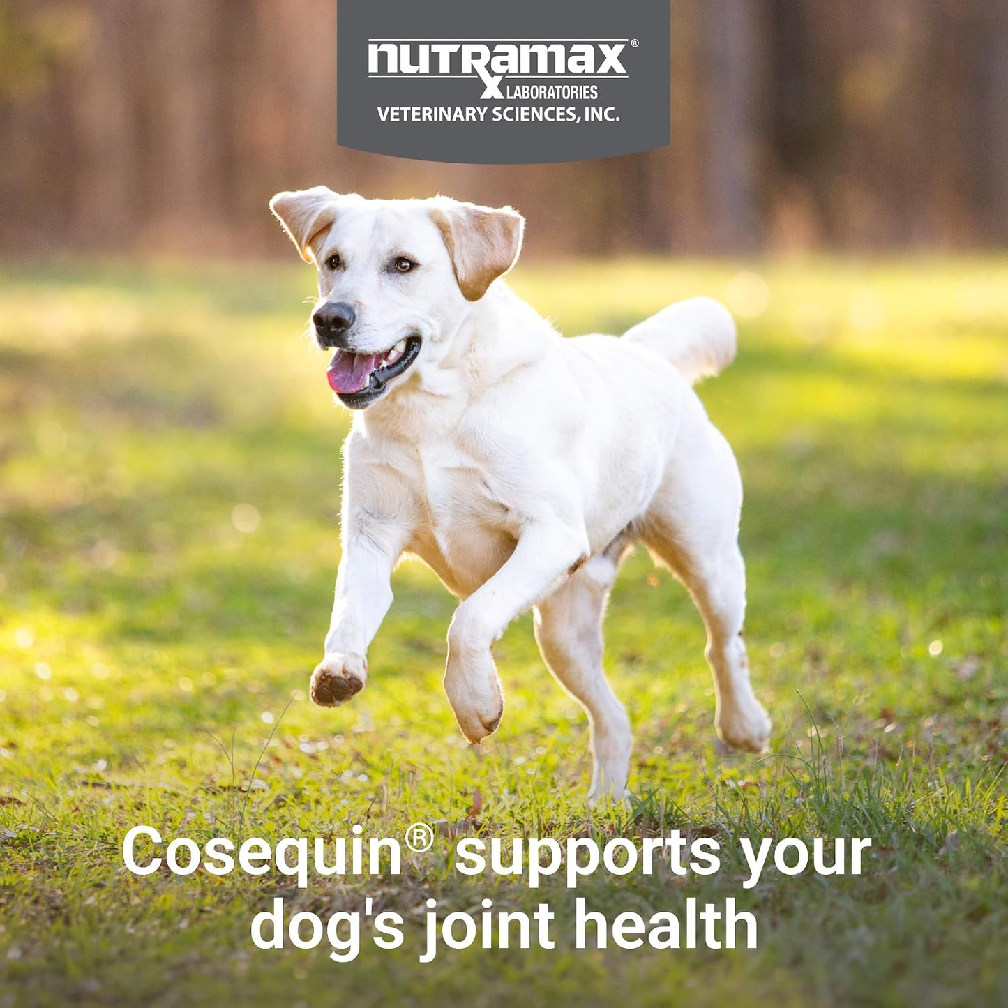 Nutramax Cosequin Joint Health Supplement for Dogs 250Count
