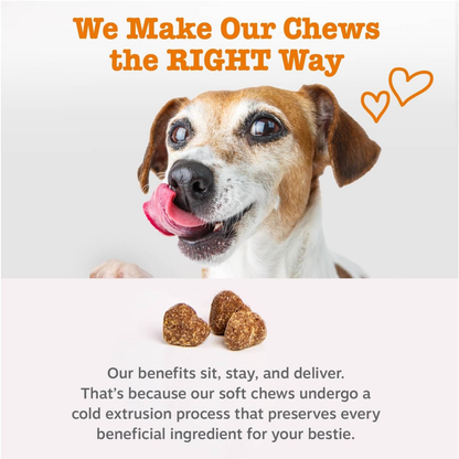 Zesty Paws 8-in-1 Multivitamin Bites for Dogs Chicken Flavor 250 Soft Chews