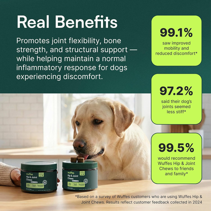Wuffes Hip & Joint Chews for Small & Medium Breed Dogs Under 65 lbs, 120 Soft Chews 2Pack