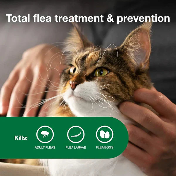 Advantage II Large Cat Flea Treatment & Prevention for Cats Over 9 lbs 6-Month Supply