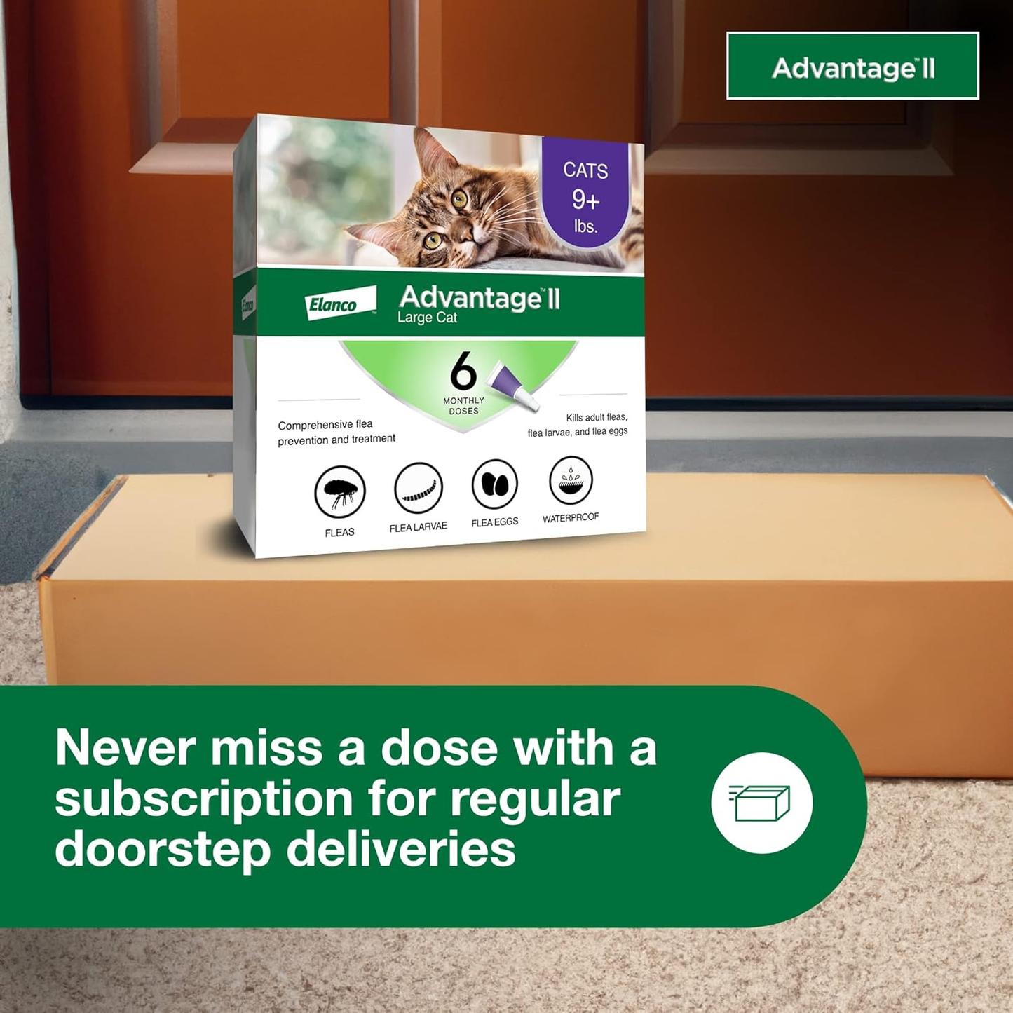 Advantage II Large Cat Flea Treatment & Prevention for Cats Over 9 lbs 6-Month Supply