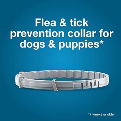 Seresto (2 Pack) Flea & Tick Collar for Large Dogs Over 18 lbs 8-Month Protection Vet-Recommended