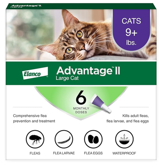 Advantage II Large Cat Flea Treatment & Prevention – Vet Recommended | For Cats Over 9 lbs | 6-Month Supply