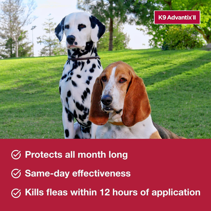 K9 Advantix II Flea Tick & Mosquito Treatment for Medium Dogs 11-20 lbs 2 Pack of 4 Month Doses
