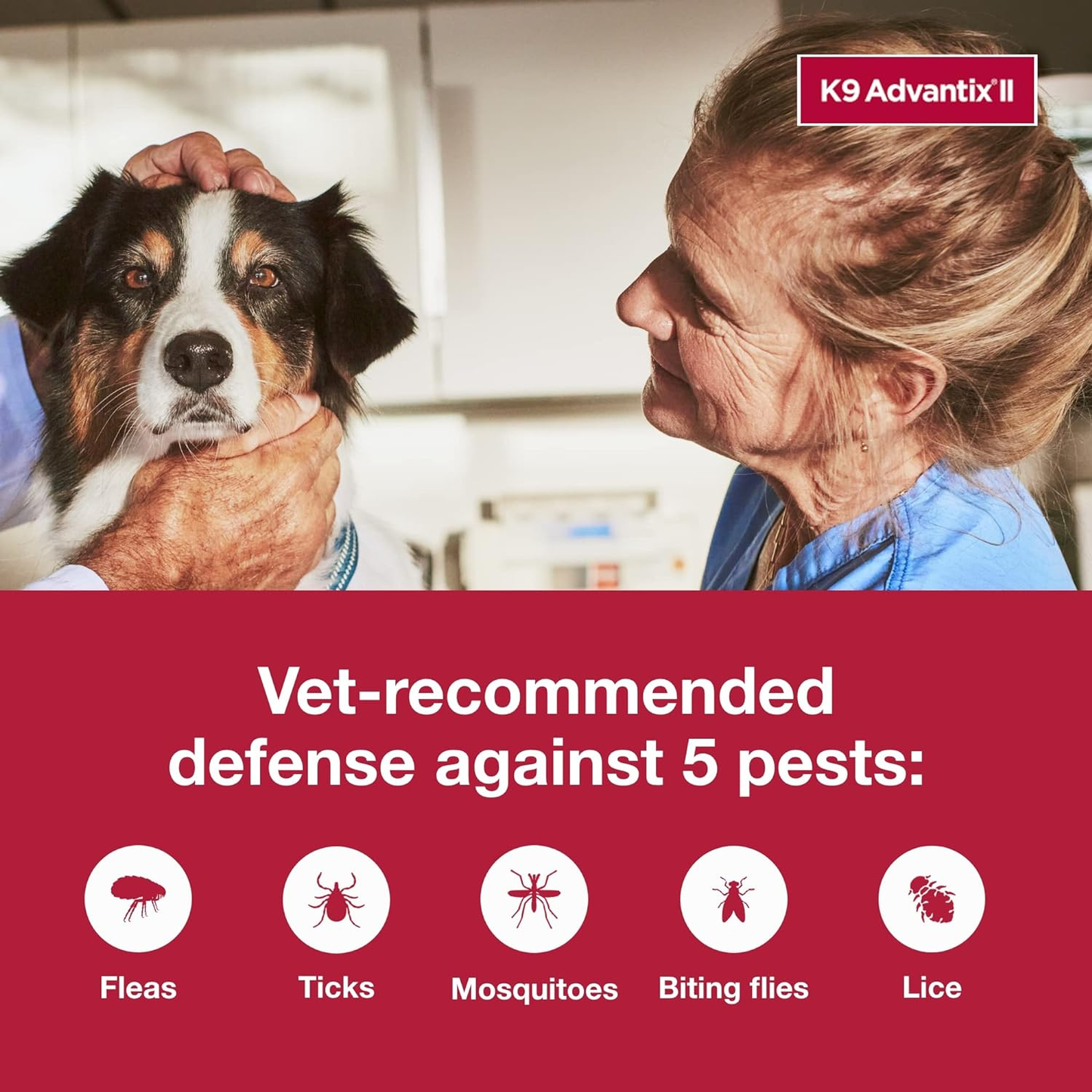 K9 Advantix II Flea Tick & Mosquito Treatment for Large Dogs 21–55 lbs 2 Pack of 6 Month Supply