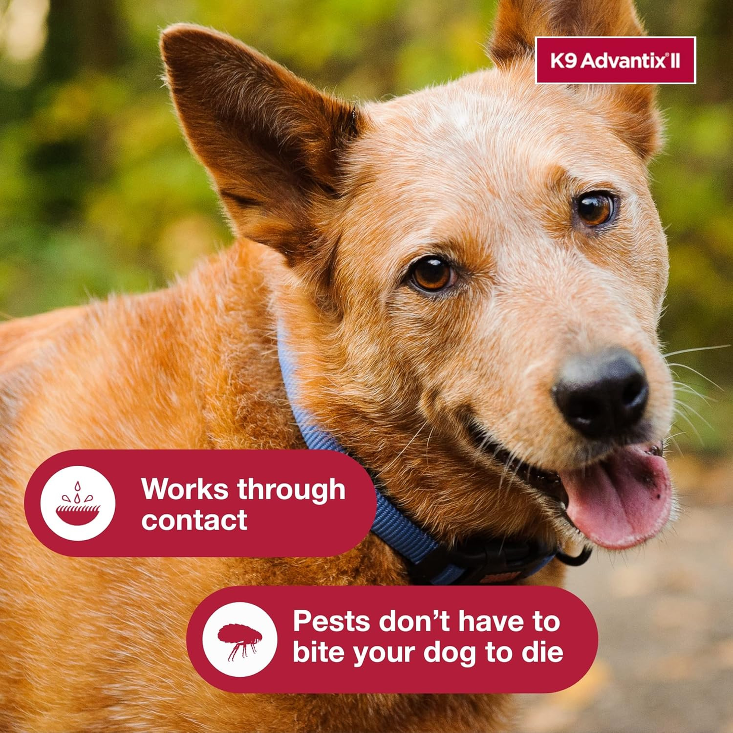 K9 Advantix II Flea Tick & Mosquito Treatment for Large Dogs 21–55 lbs 2 Pack of 6 Month Supply
