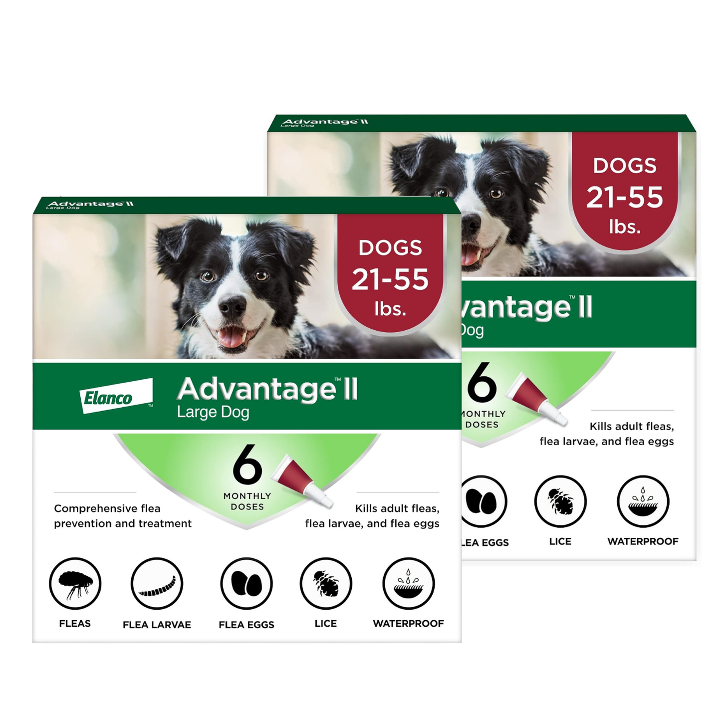 Advantage II Flea Treatment for Large Dogs 21-55 lbs 2 Pack of 6 Month Doses