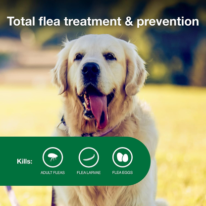 Advantage II Flea Treatment for Large Dogs 21-55 lbs 2 Pack of 6 Month Doses