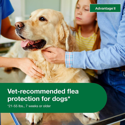 Advantage II Flea Treatment for Large Dogs 21-55 lbs 2 Pack of 6 Month Doses