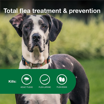 Advantage II XL Dog Flea Treatment & Prevention for Dogs Over 55 lbs 2 Pack 6 Month Supply)