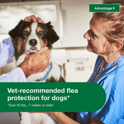 Advantage II XL Dog Flea Treatment & Prevention for Dogs Over 55 lbs 2 Pack 6 Month Supply)