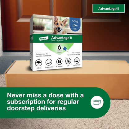 Advantage II XL Dog Flea Treatment & Prevention for Dogs Over 55 lbs 2 Pack 6 Month Supply)