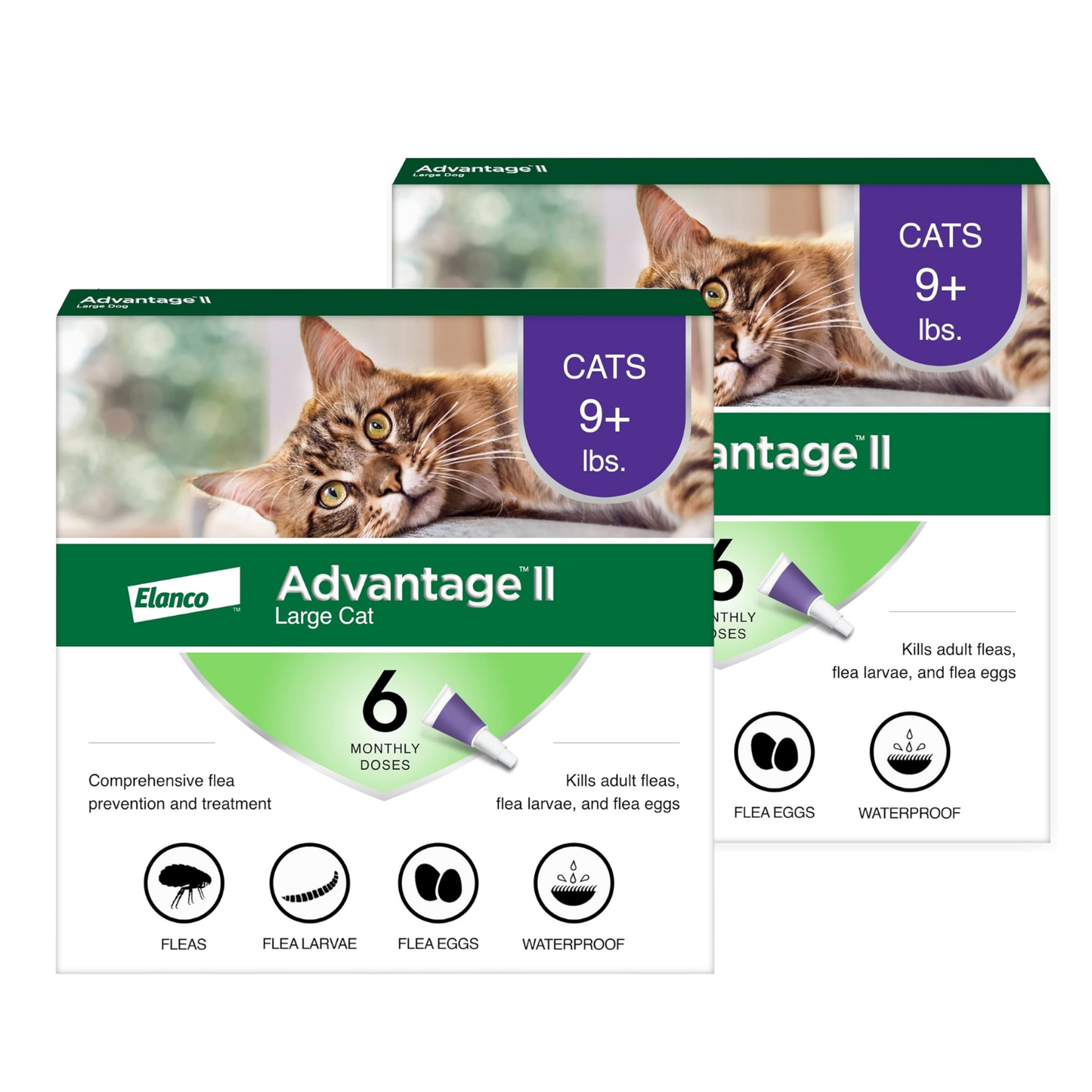 Advantage II Large Cat Flea Treatment & Prevention for Cats Over 9 lbs 2 Pack of 6-Month Supply
