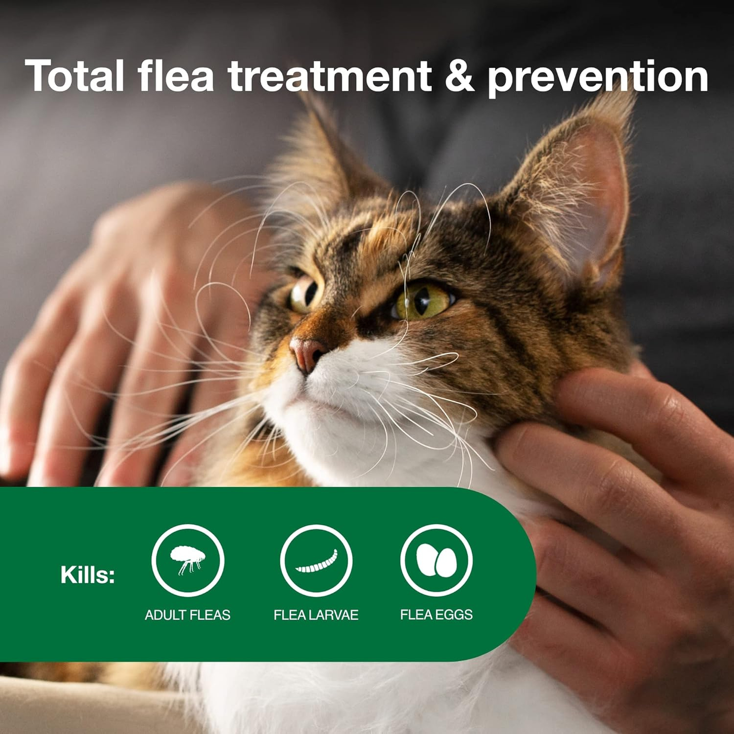 Advantage II Large Cat Flea Treatment & Prevention for Cats Over 9 lbs 2 Pack of 6-Month Supply
