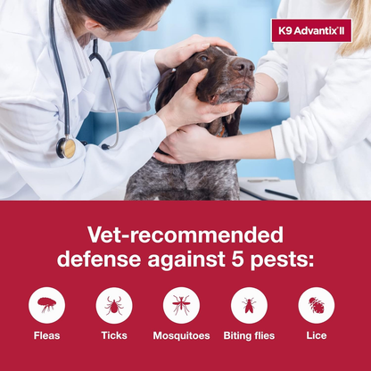 K9 Advantix II Flea Tick & Mosquito Treatment for XL Dogs Over 55 lbs 2 Pack of 4 Month Supply