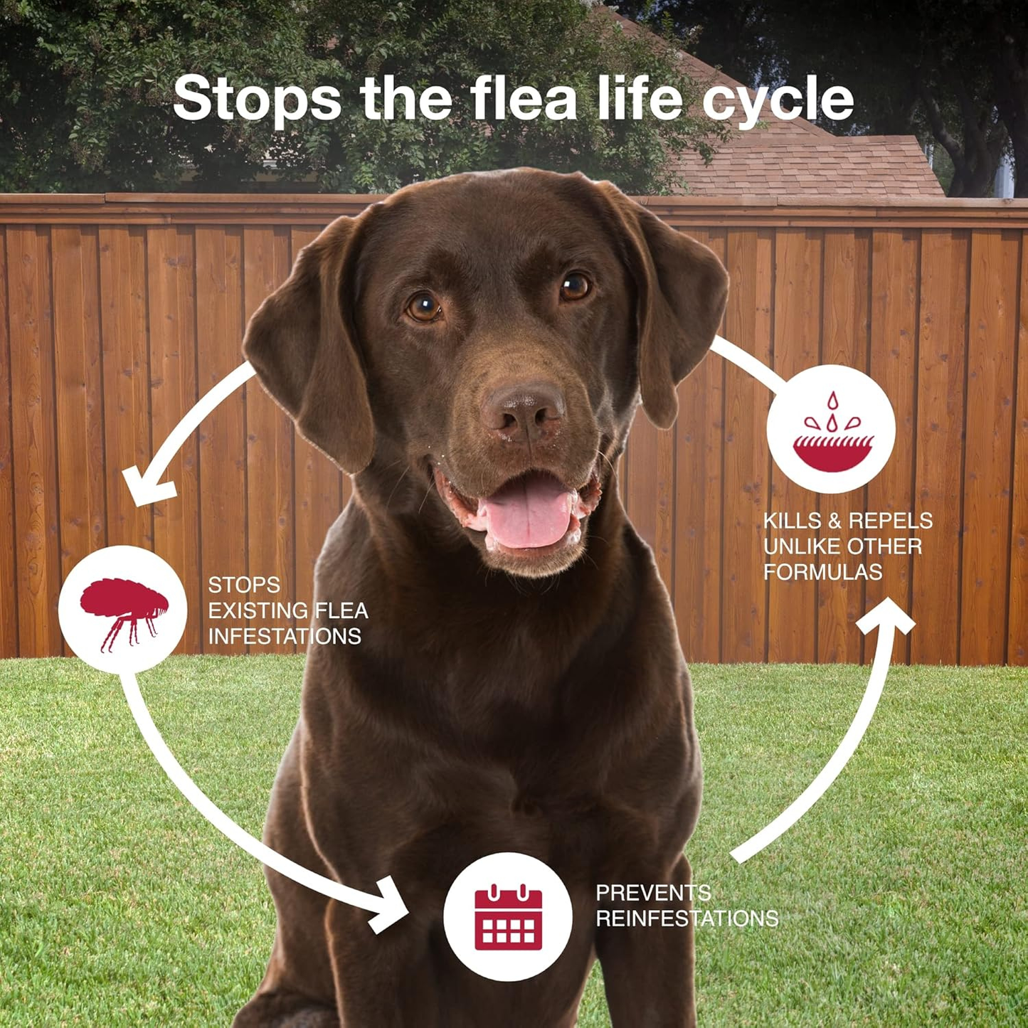 K9 Advantix II Flea Tick & Mosquito Treatment for XL Dogs Over 55 lbs 2 Pack of 4 Month Supply