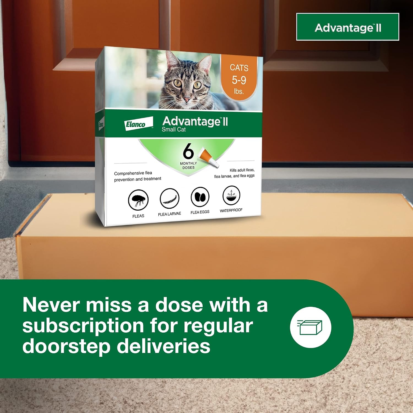 Advantage II Small Cat Flea Treatment 5-9 lbs. 6-Month Supply