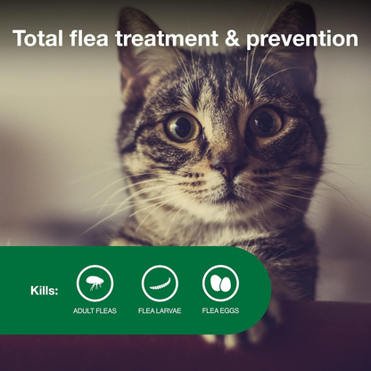 Advantage II Small Cat Flea Treatment 5-9 lbs. 6-Month Supply