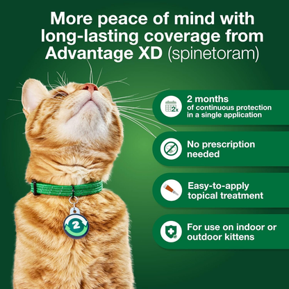 Advantage XD Large Cat Flea Treatment Over 9 lbs. 4 Doses 8-Month Supply