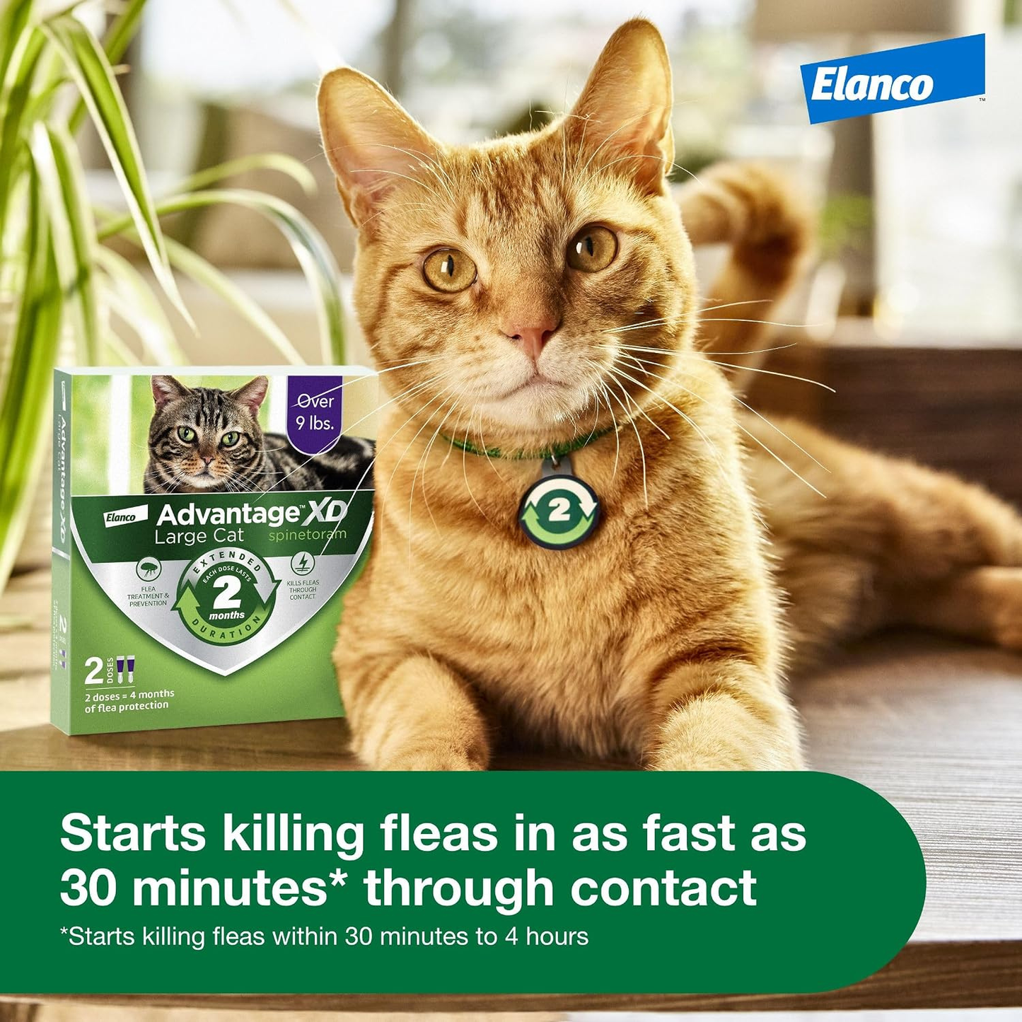 Advantage XD Large Cat Flea Treatment Over 9 lbs. 4 Doses 8-Month Supply