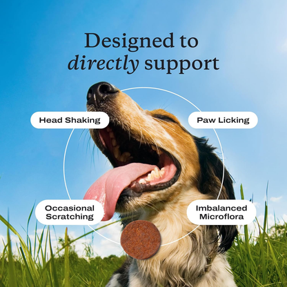 PetLab Co Allergy & Immune Probiotic Chews for Dogs | Itch, Allergy & Gut Support – 3 Pack of 30 Chews