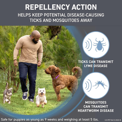 Shield Flea & Tick Treatment for Large Dogs 41-80 lbs 6 Doses by Frontline