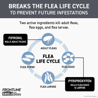 Shield Flea & Tick Treatment for Large Dogs 41-80 lbs 6 Doses by Frontline